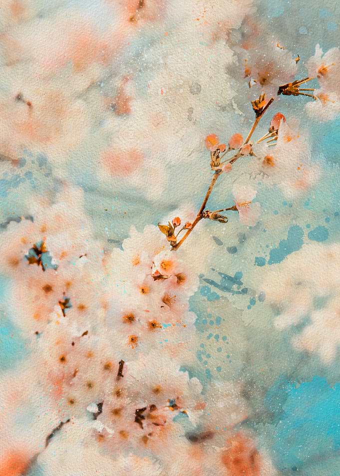 Cherry Blossom Watercolor painting