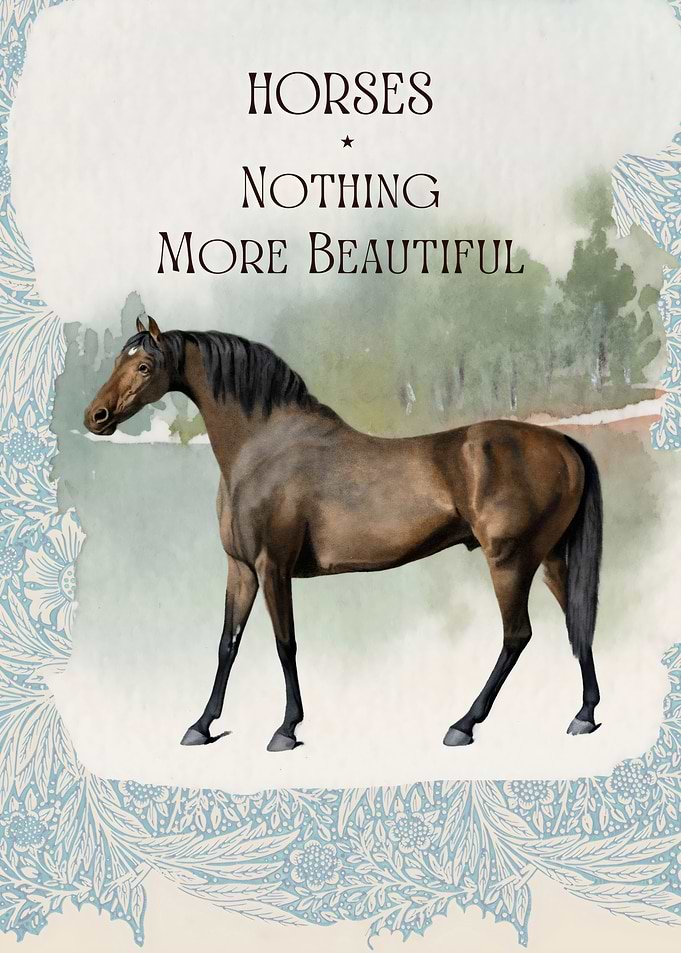 Beutiful Horse