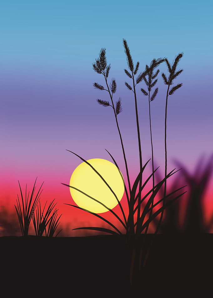 Sunset Silhouette