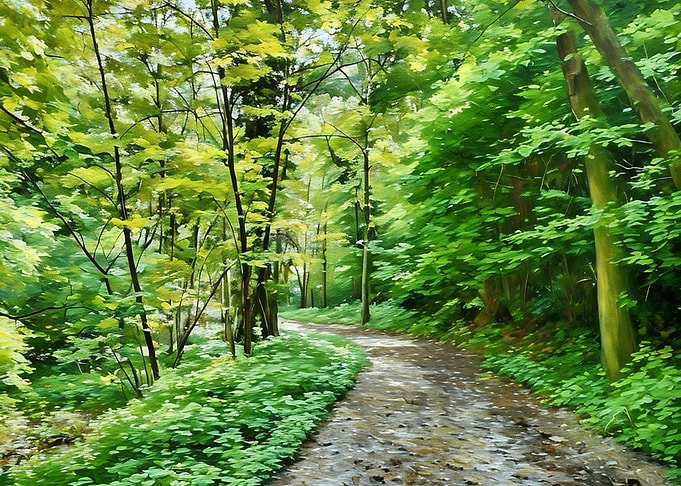 Forest Path in Orobic Alps