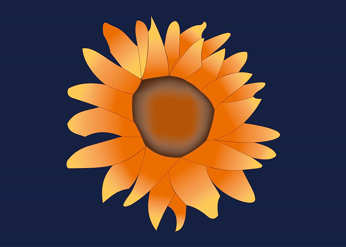 Orange Sunflower on Blue