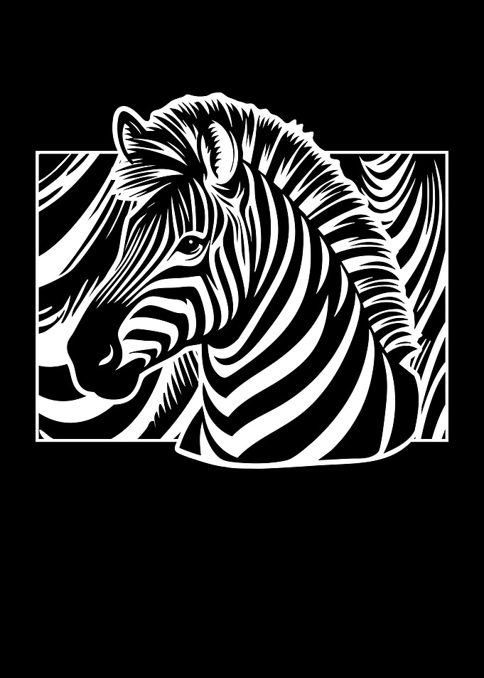 Stylish Zebra Animals