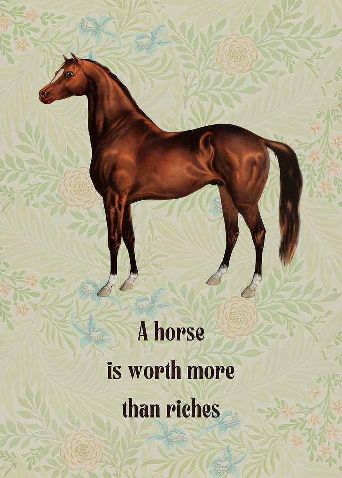 A Horse Is Worth More Than Riches