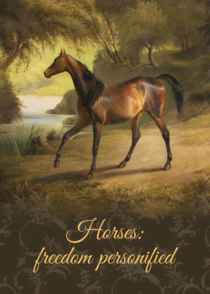 Horses: Freedom Personified