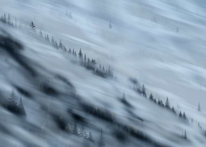 Misty Forest Landscape