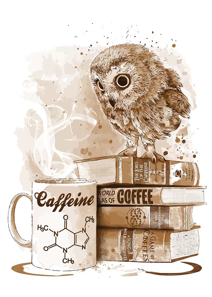 Owl & Coffee Mug