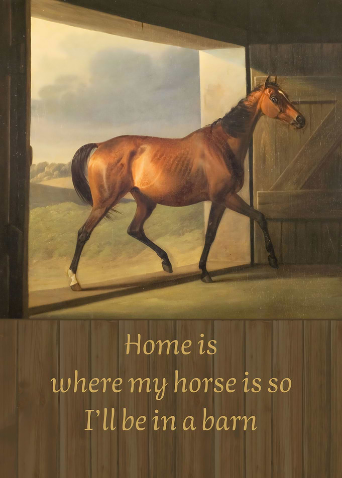 Home Is Where My Horse Is