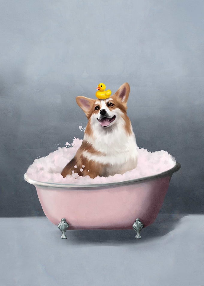 Corgi Bath Time