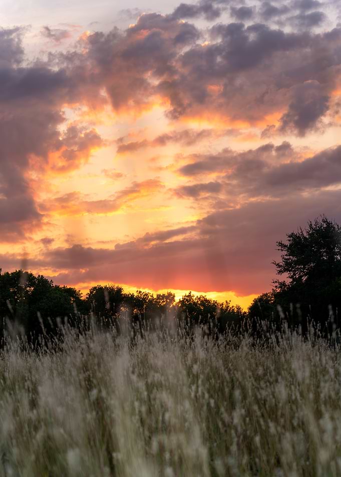 Sunset Over Grassland