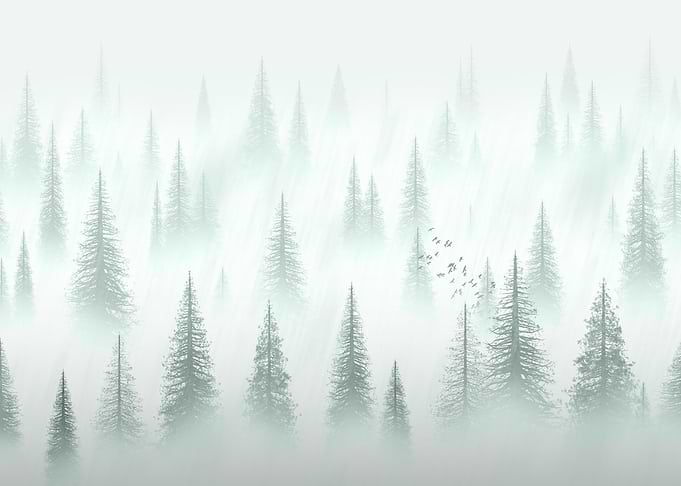 Misty Forest Landscape