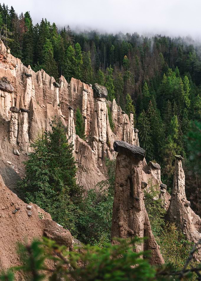 Earth Pillars in Forest