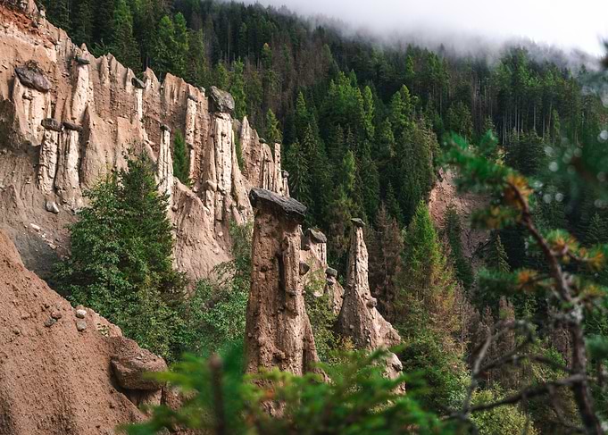 Earth Pillars in Forest