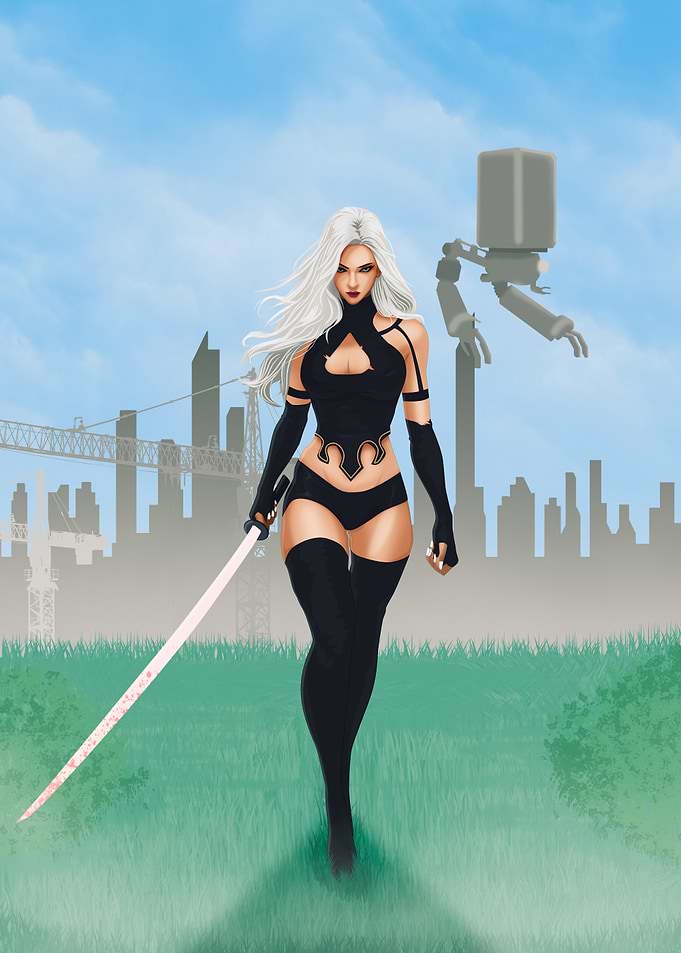 nierautomata a2