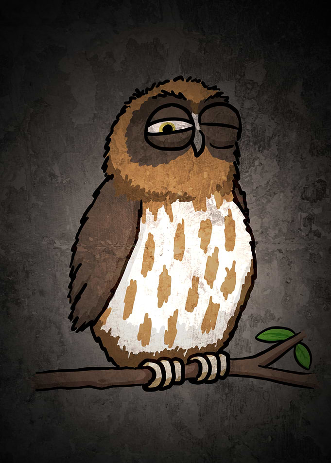 Sleepy Owl Illustration