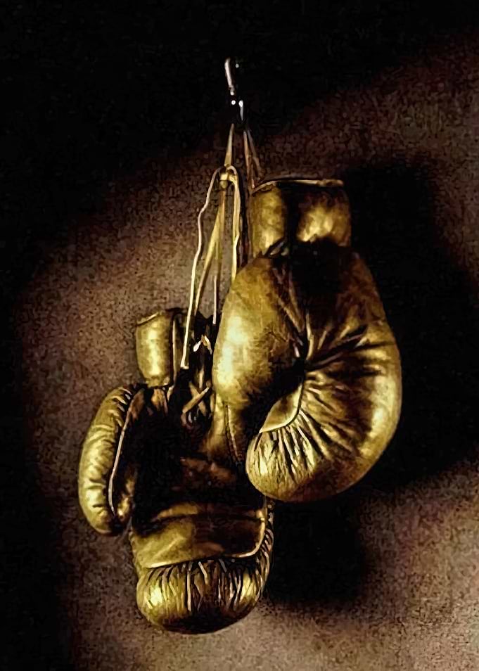 Golden Boxing Gloves