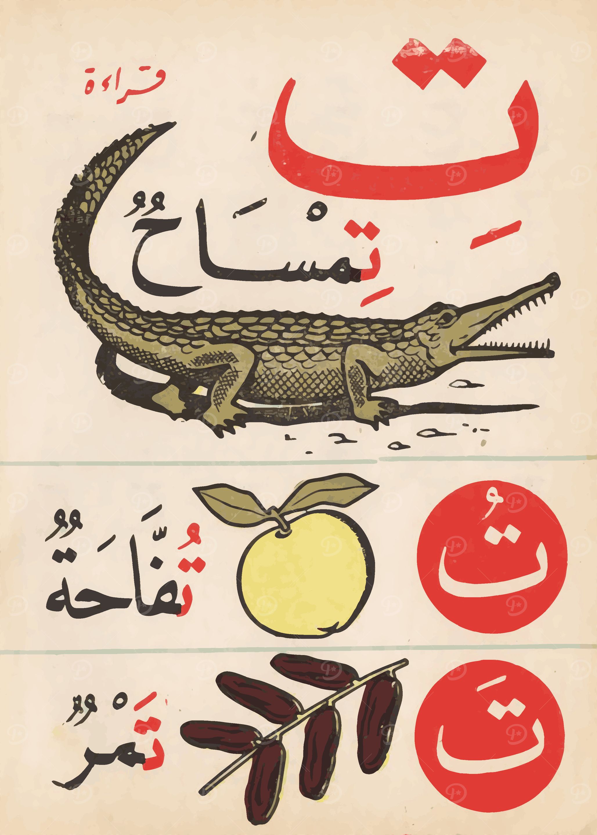 Arabic Alphabet Illustration