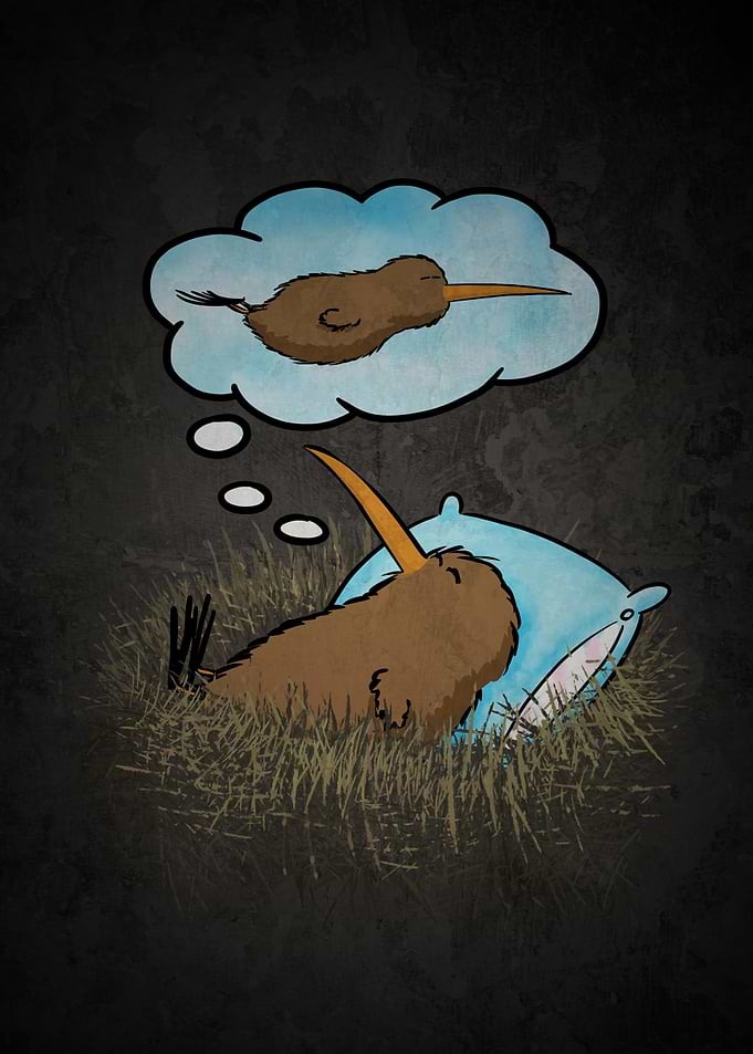 Kiwi Bird Dreaming
