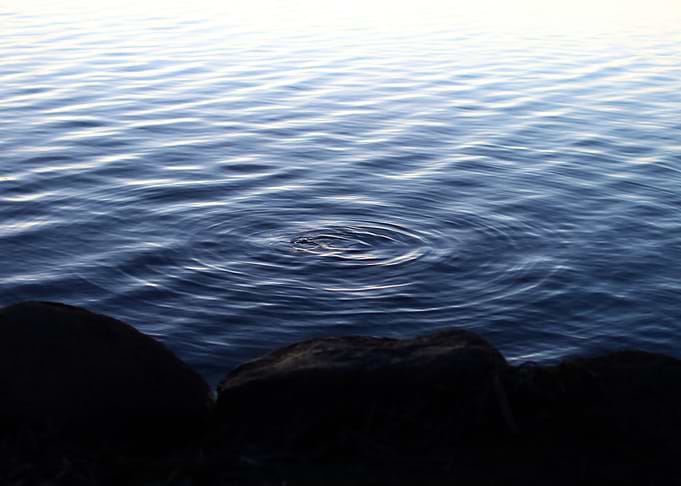 Ripples on Calm Water