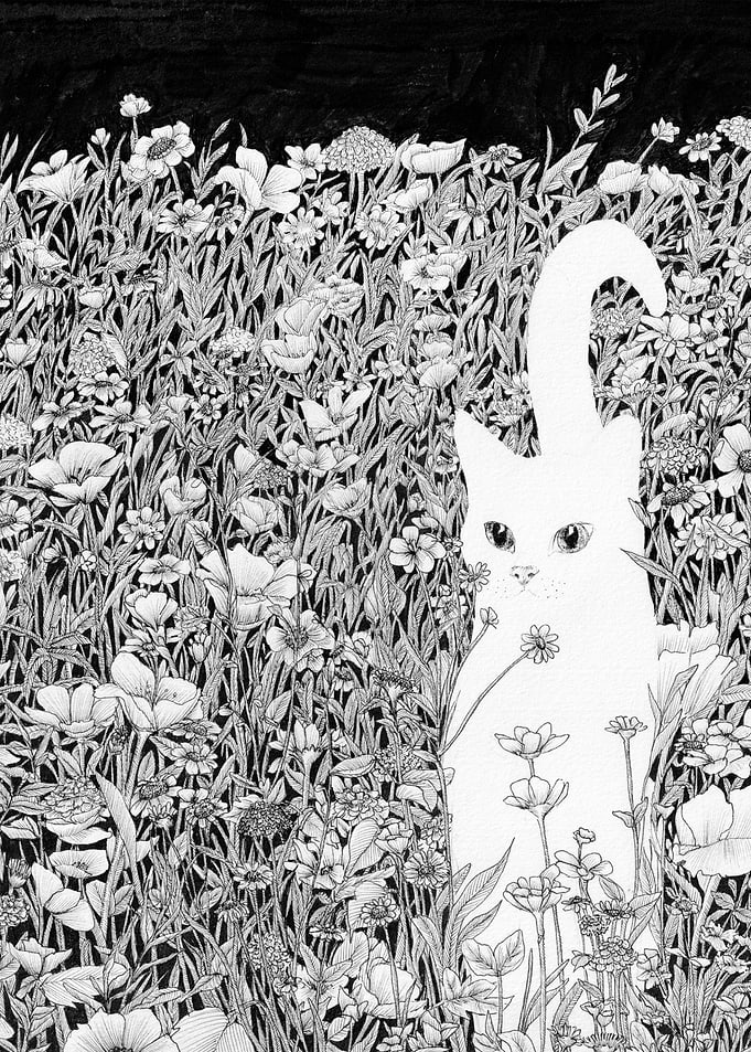 White Cat in Flower Field