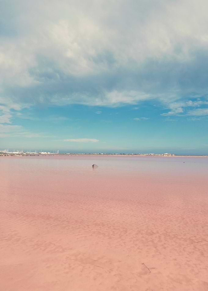 Pink Lake Landscape