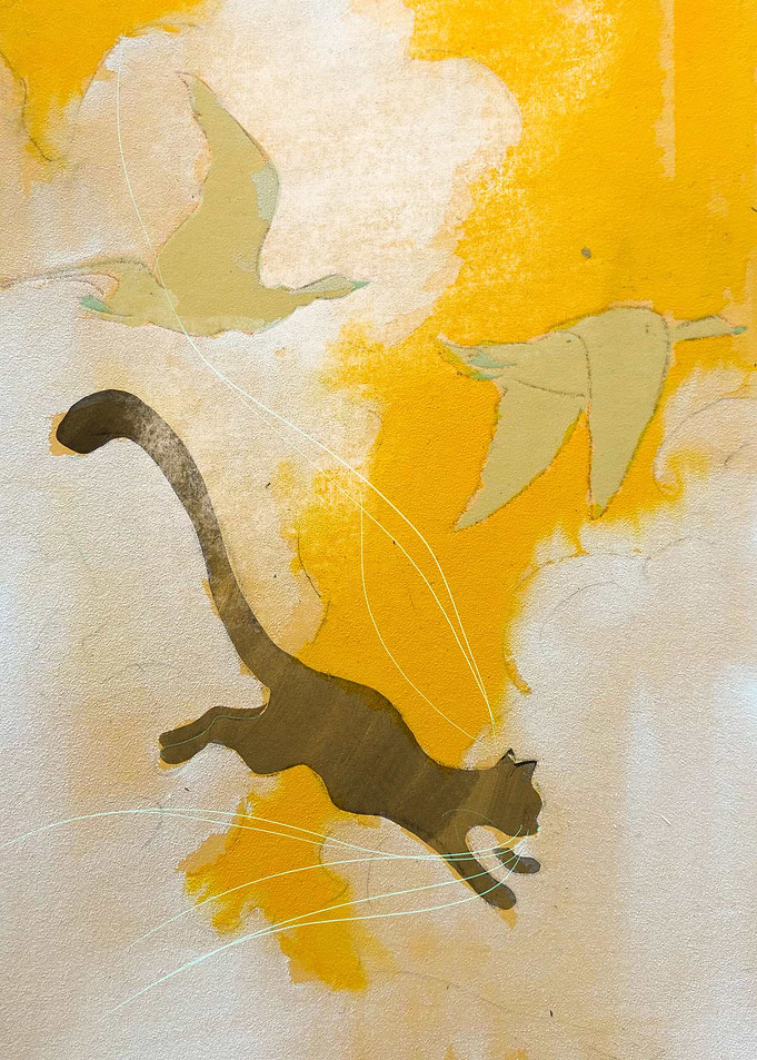 Cat in the sky