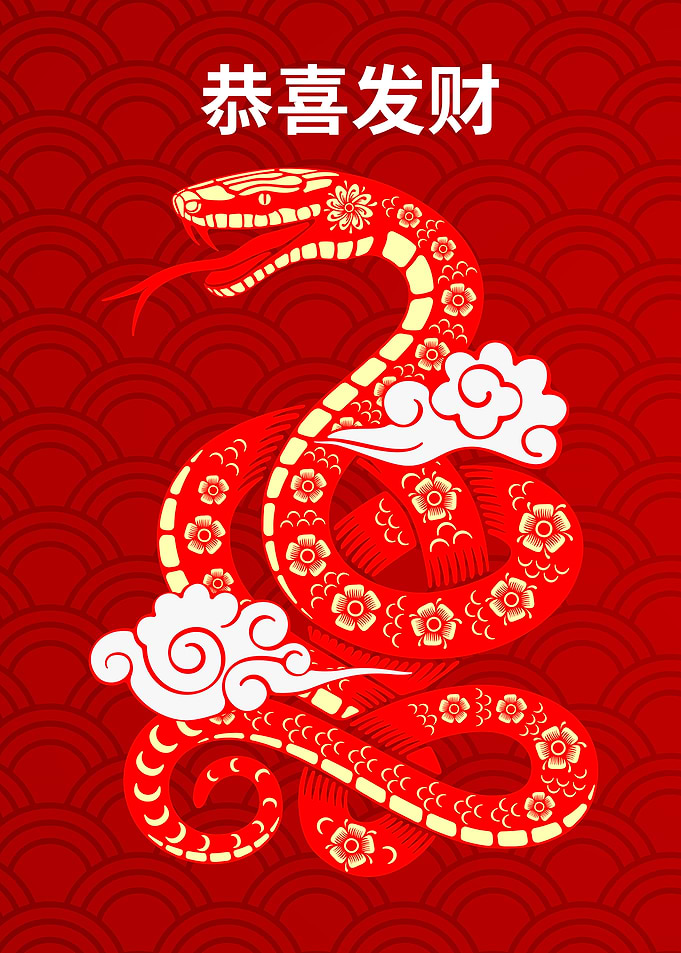 Chinese Year Of The Snake Art