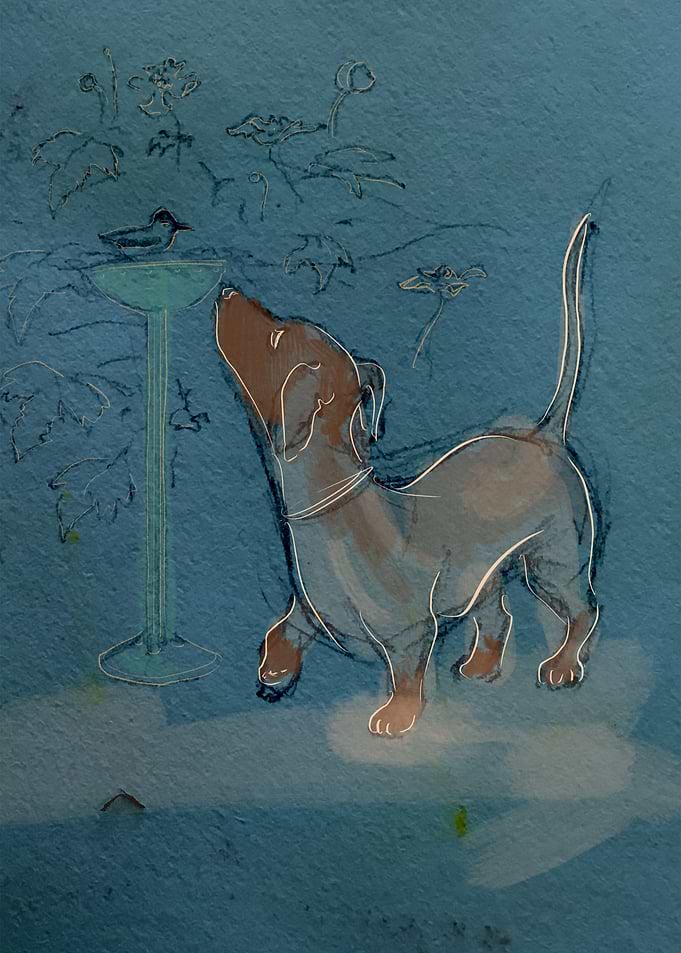 Dog Looking Up at Bird