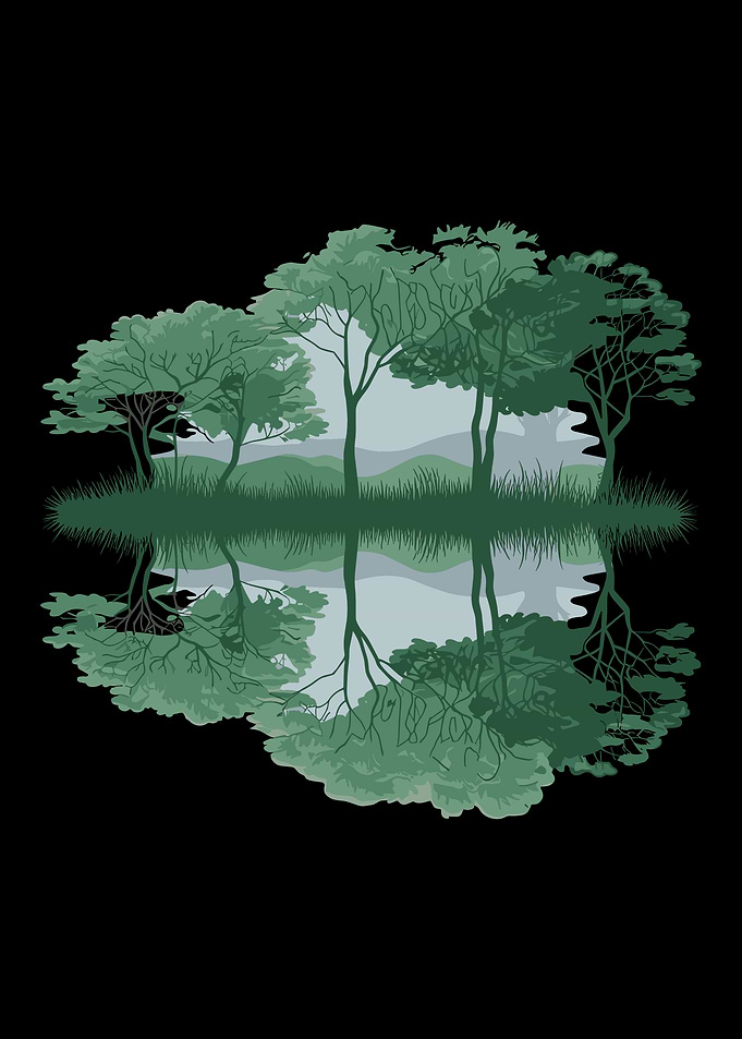 wildlife outdoors nature forest lake green trees reflection graphic