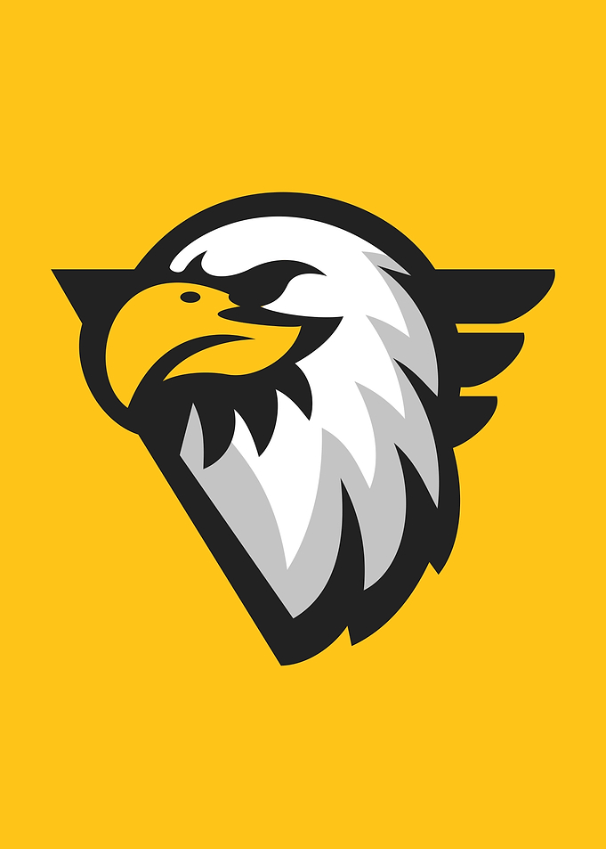 Majestic Bald Eagle
