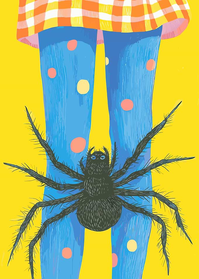 Spider on Legs