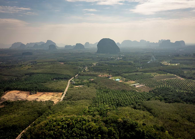 Mountainous Landscape with Palm Trees