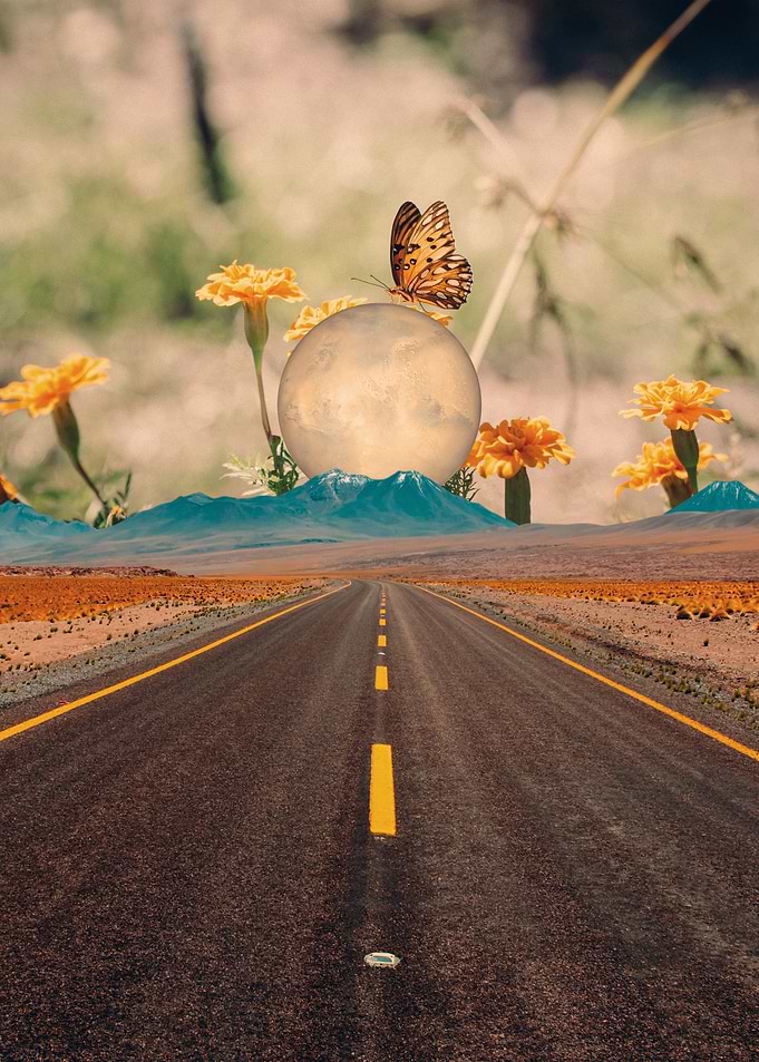 Road to Anywhere