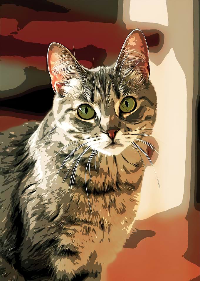 Tabby Cat Portrait