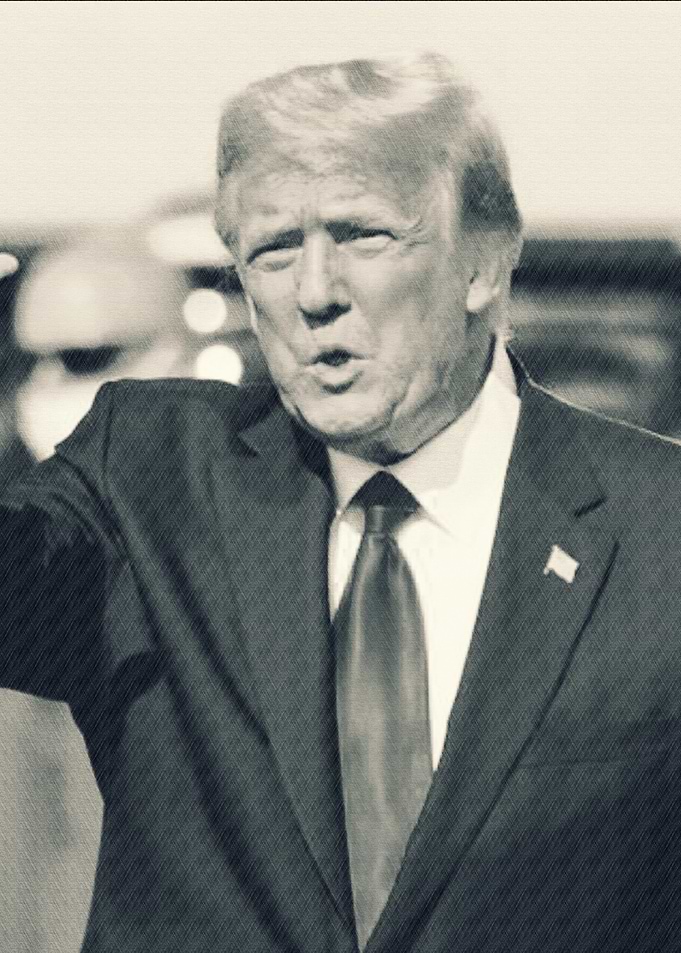 Donald Trump Portrait