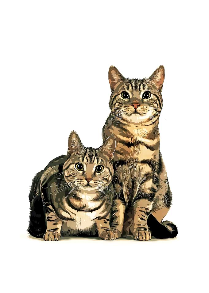 Two Tabby Cats