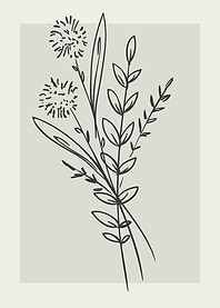 Minimalist Floral Line Art