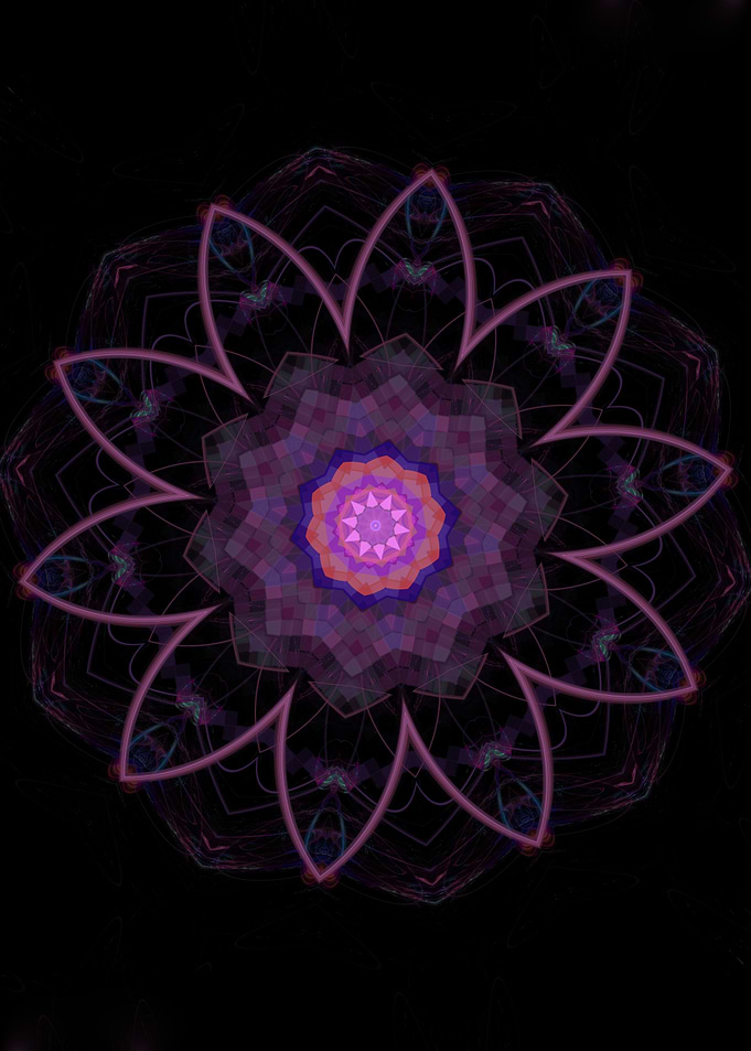 Purple Flower Majesty