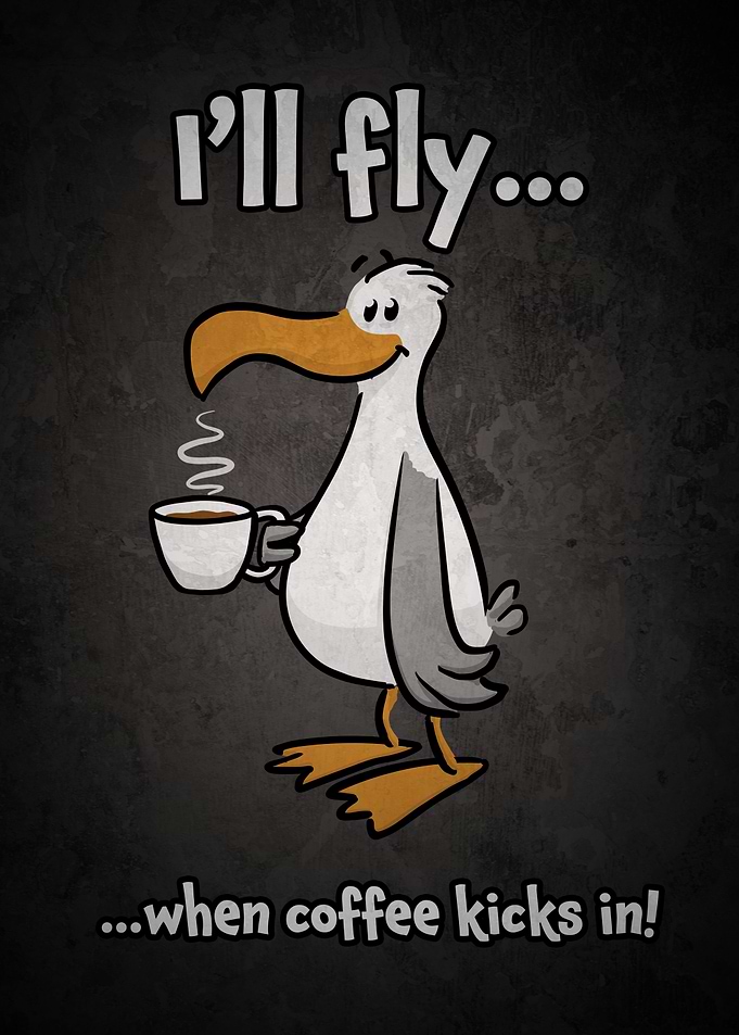 Coffee-Fueled Albatross
