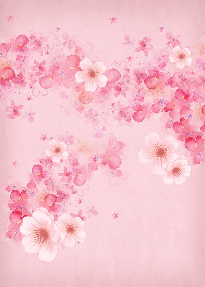 Pink Cherry Blossom Flowers Stream