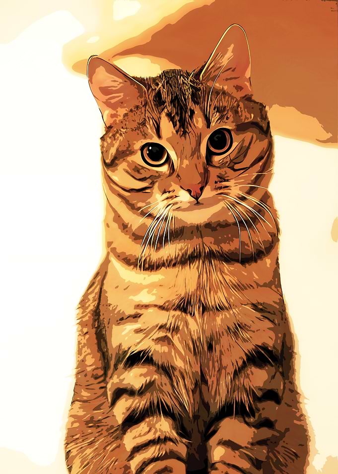 Tabby Cat Portrait