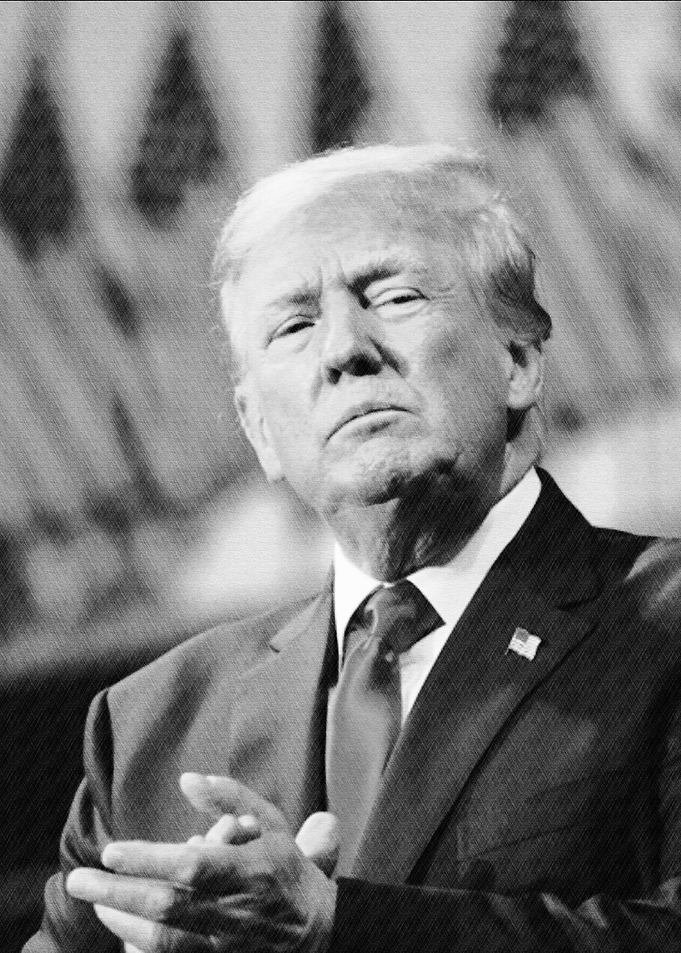 Donald Trump Portrait