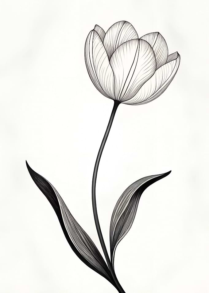 Line Art Tulip minimalist wall art featuring a single, slender botanical stem with small leaves or buds, in fine black ink on a white background.