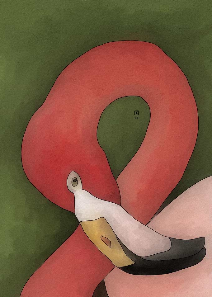 Pink Flamingo Illustration