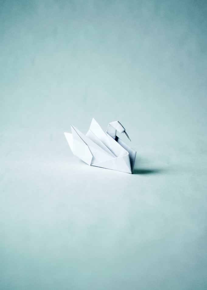 Origami Swan