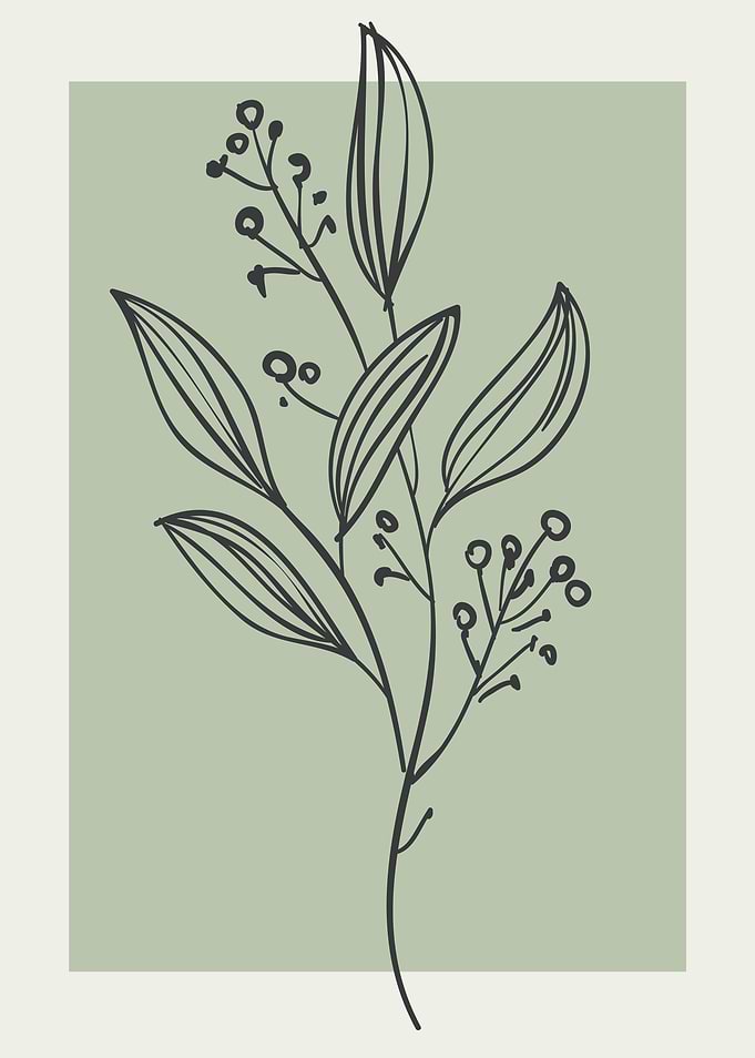 Line Art Floral Branch
