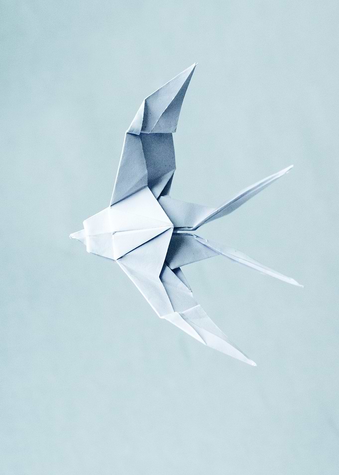 Origami Swallow