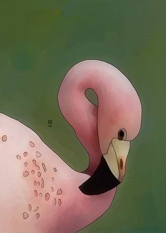 Andean Flamingo Portrait