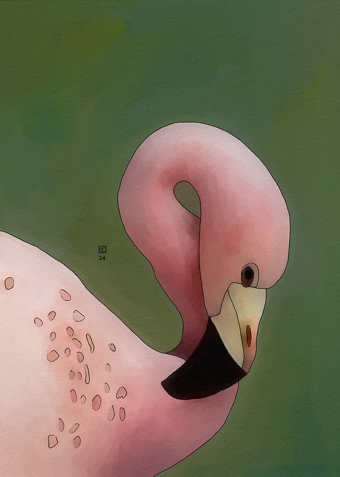 Andean Flamingo Portrait