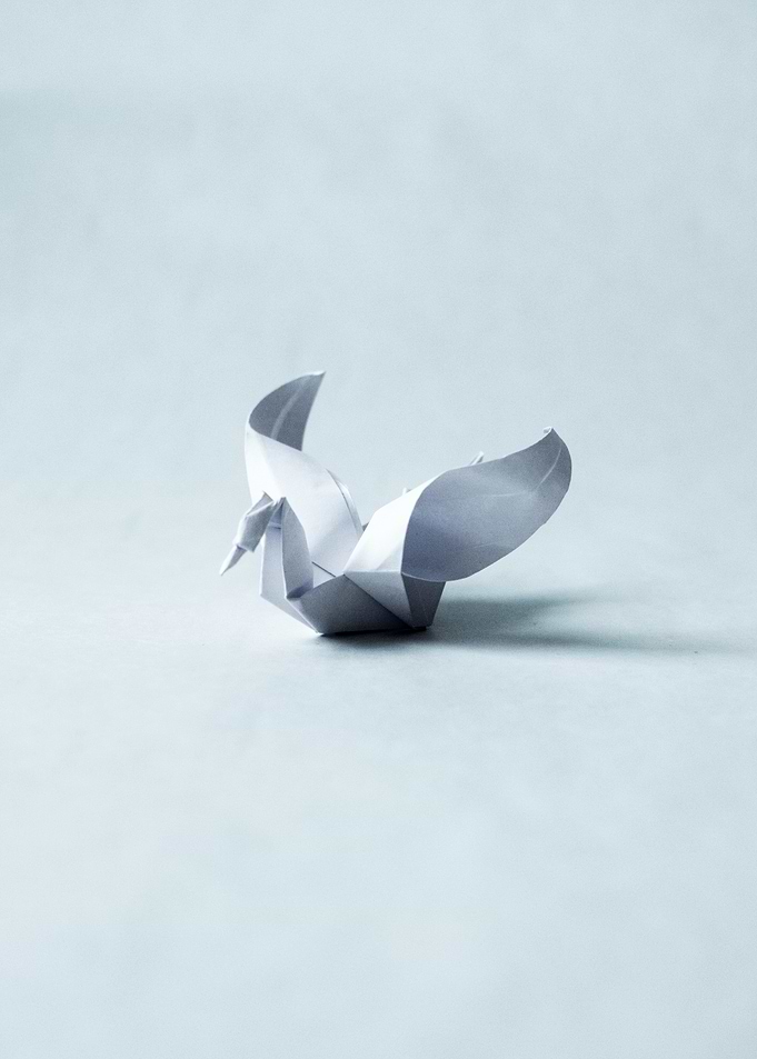 Origami Swan