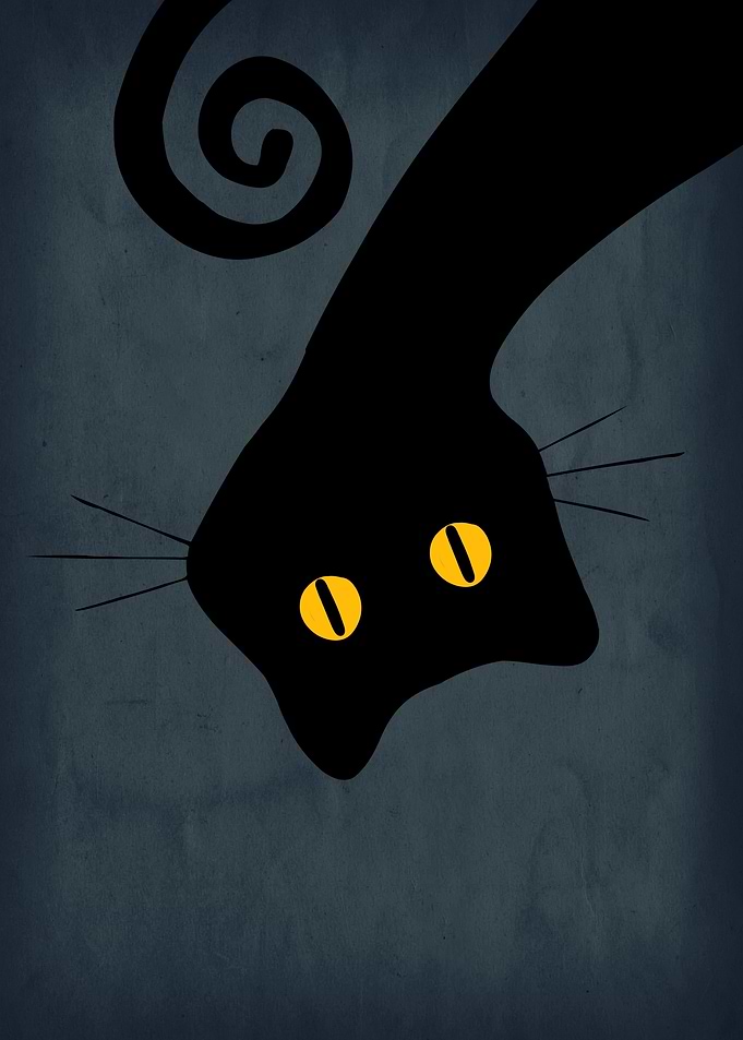 Curious Black Cat Silhouette